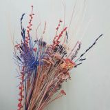 Mixed Bouquets Dried Colours - 5stems per bunch